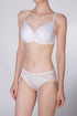 Rosa Petal Brief